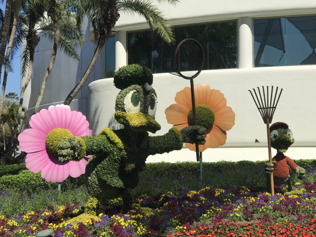 Donald Duck and his nephews in topiary form at the Epcot International Flower & Garden Festival
