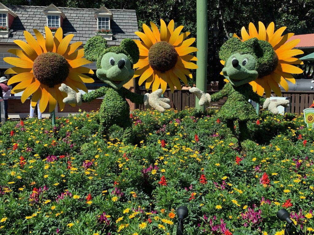 Mickey and Minnie make another appearance at the Flower & Garden Festival, this time in the garden at the America Pavilion 