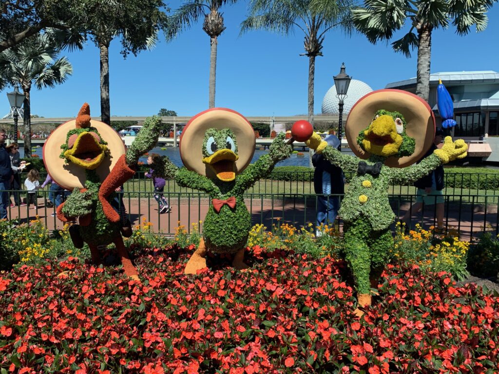 The Three Caballeros are at home in Mexico 